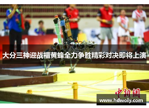 大分三神迎战福黄蜂全力争胜精彩对决即将上演