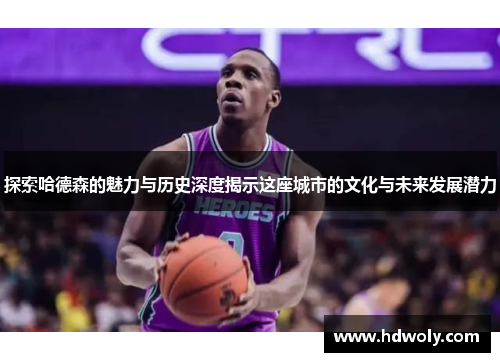 探索哈德森的魅力与历史深度揭示这座城市的文化与未来发展潜力