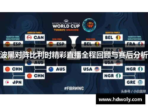 波黑对阵比利时精彩直播全程回顾与赛后分析
