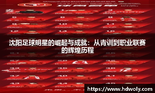 沈阳足球明星的崛起与成就：从青训到职业联赛的辉煌历程